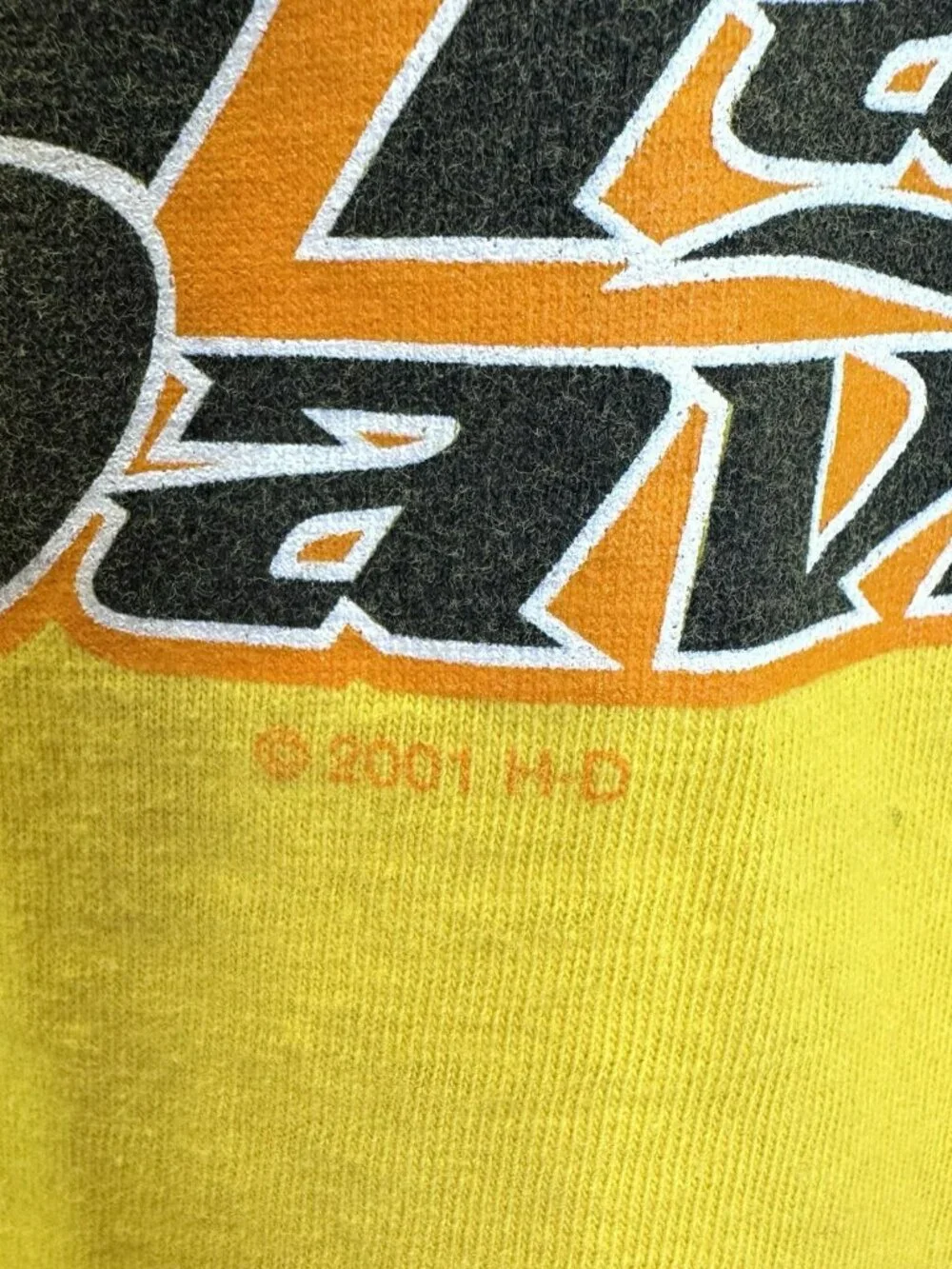 Vintage 90s Y2K Harley Davidson T-Shirt Tee Winnipeg Manitoba Buffalo Lone Star - Picture 7 of 8